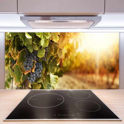 Kitchen Splashback Grapes nature purple green