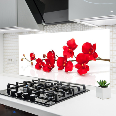 Kitchen Splashback Flowers floral red