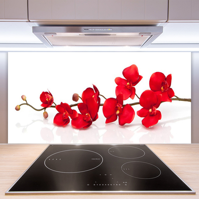 Kitchen Splashback Flowers floral red