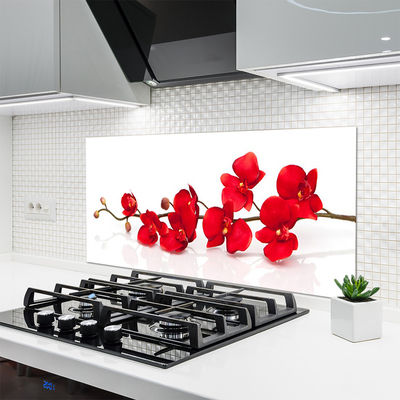 Kitchen Splashback Flowers floral red