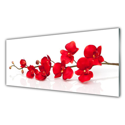 Kitchen Splashback Flowers floral red