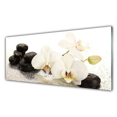 Kitchen Splashback Flower stones floral white black