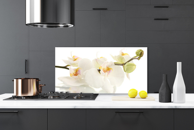 Kitchen Splashback Flowers floral white