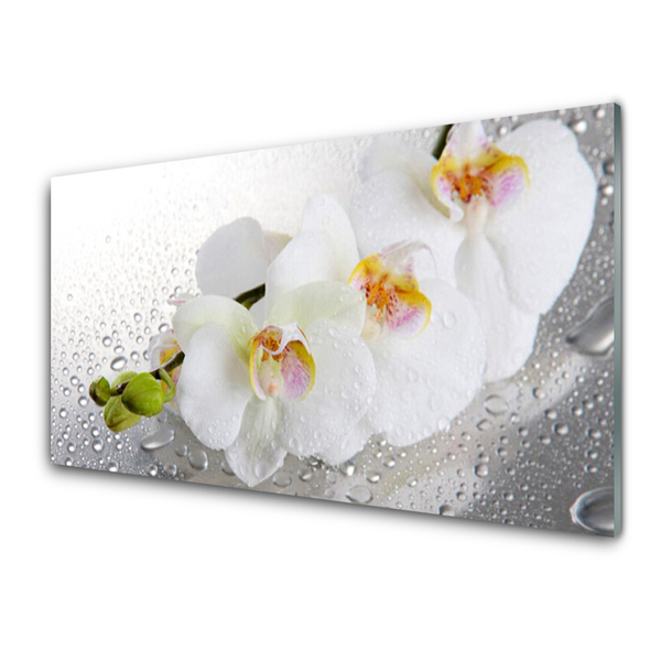 Kitchen Splashback Flowers floral white