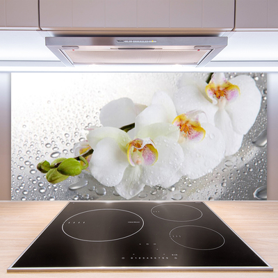 Kitchen Splashback Flowers floral white