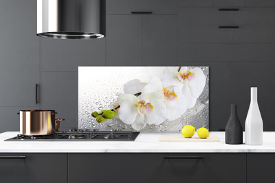 Kitchen Splashback Flowers floral white