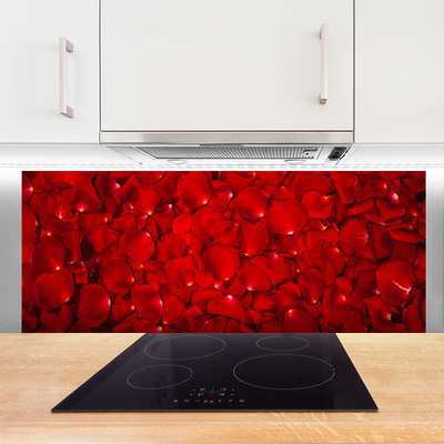 Kitchen Splashback Petals floral red