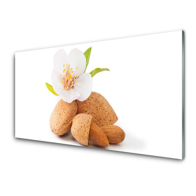 Kitchen Splashback Flower pistachios floral white brown