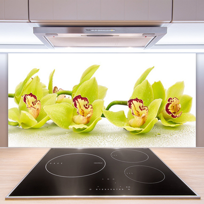 Kitchen Splashback Flowers floral green