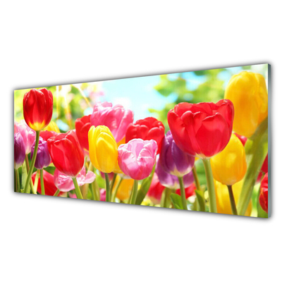 Kitchen Splashback Tulips floral red yellow