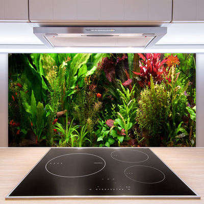 Kitchen Splashback Plants nature green orange