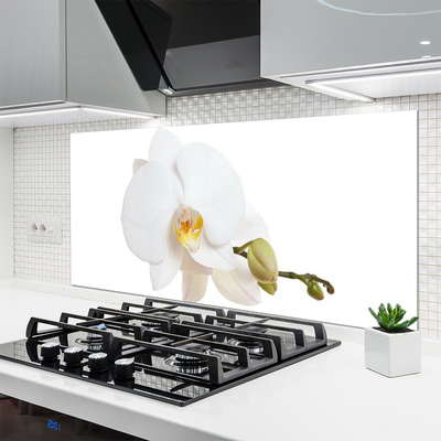 Kitchen Splashback Flower floral white