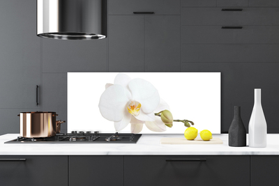 Kitchen Splashback Flower floral white