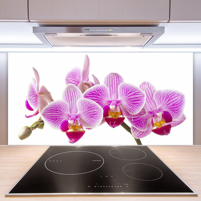 Kitchen Splashback Flowers floral pink