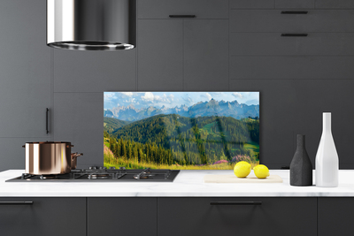 Kitchen Splashback Mountain forest nature green