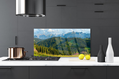 Kitchen Splashback Mountain forest nature green