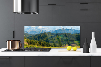 Kitchen Splashback Mountain forest nature green