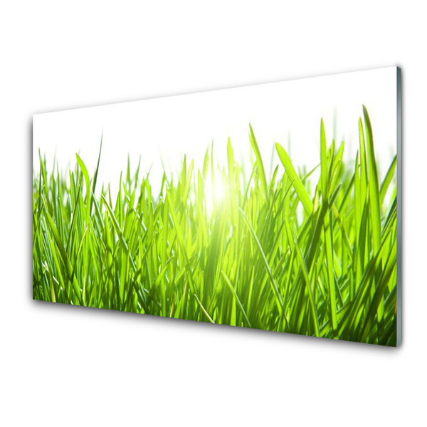 Kitchen Splashback Grass nature green