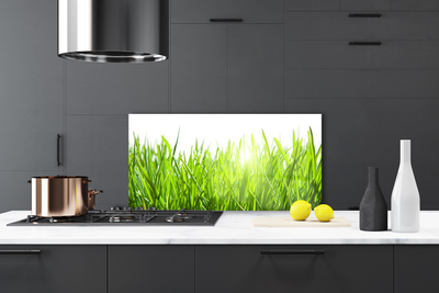 Kitchen Splashback Grass nature green