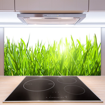 Kitchen Splashback Grass nature green