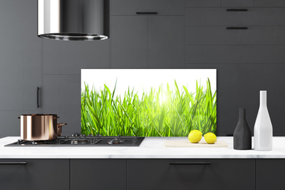 Kitchen Splashback Grass nature green