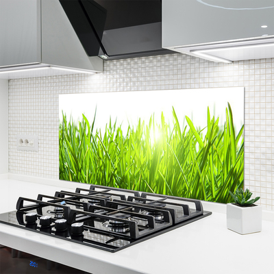 Kitchen Splashback Grass nature green