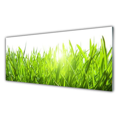 Kitchen Splashback Grass nature green