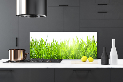 Kitchen Splashback Grass nature green