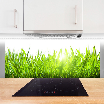 Kitchen Splashback Grass nature green