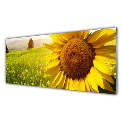Kitchen Splashback Sunflower floral yellow brown