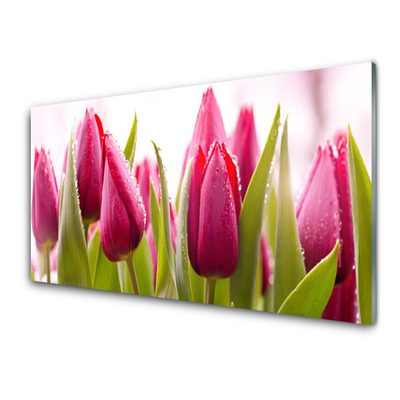 Kitchen Splashback Tulips floral red