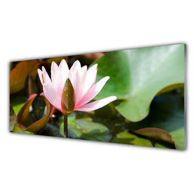 Kitchen Splashback Flower floral pink