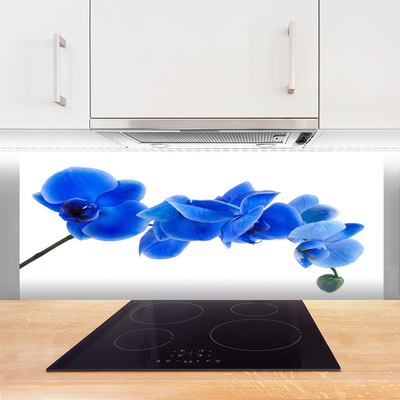 Kitchen Splashback Flower floral blue