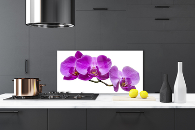 Kitchen Splashback Flowers floral pink