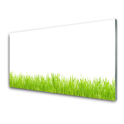 Kitchen Splashback Grass nature green