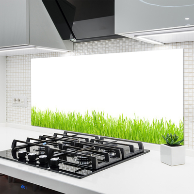 Kitchen Splashback Grass nature green