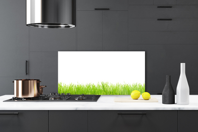 Kitchen Splashback Grass nature green