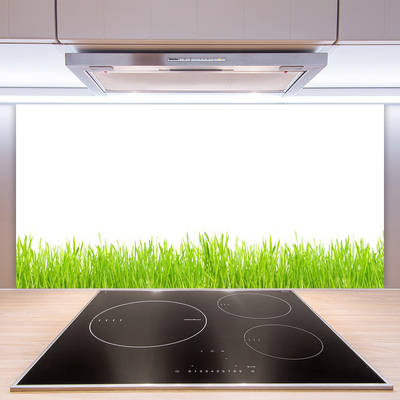 Kitchen Splashback Grass nature green