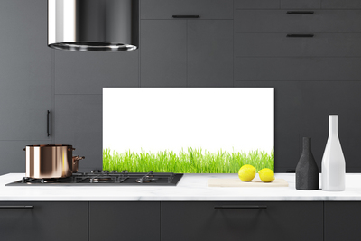 Kitchen Splashback Grass nature green