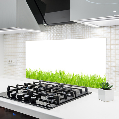 Kitchen Splashback Grass nature green