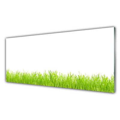 Kitchen Splashback Grass nature green