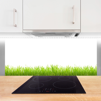 Kitchen Splashback Grass nature green