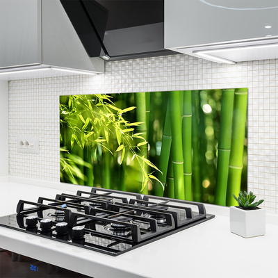 Kitchen Splashback Bamboo leaves floral green