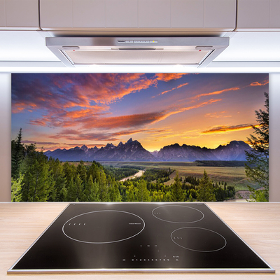 Kitchen Splashback Mountain forest nature grey green