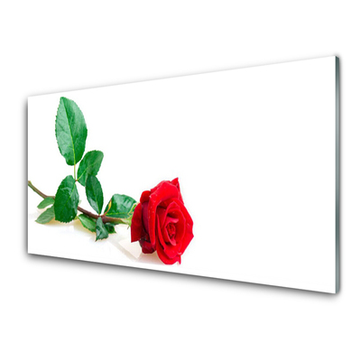 Kitchen Splashback Rose floral red