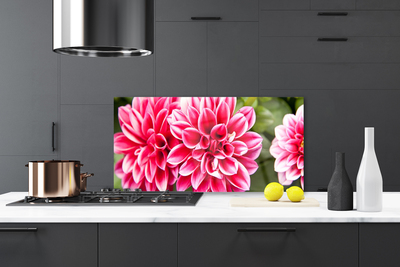 Kitchen Splashback Flowers floral red white