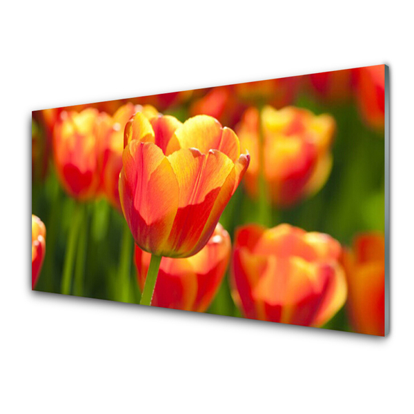 Kitchen Splashback Tulips floral yellow red