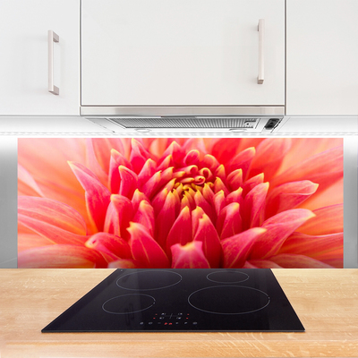 Kitchen Splashback Flower floral orange