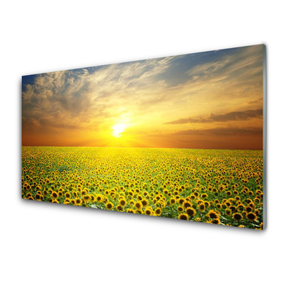 Kitchen Splashback Sun meadow sunflowers nature yellow brown green