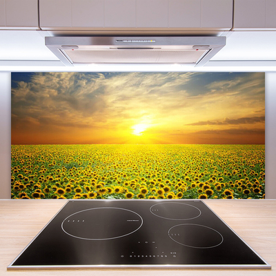 Kitchen Splashback Sun meadow sunflowers nature yellow brown green